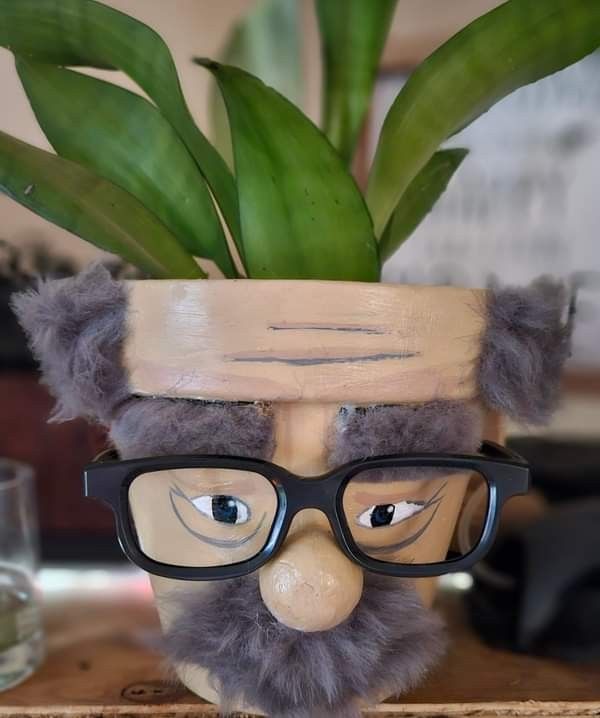 Adorable DIY Face Planter Ideas to Bring Personality to Your Plants 17 Adorable DIY Face Planter Ideas to Bring Personality to Your Plants