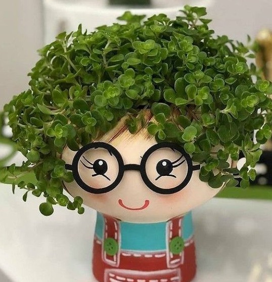 Adorable DIY Face Planter Ideas to Bring Personality to Your Plants 17 Adorable DIY Face Planter Ideas to Bring Personality to Your Plants