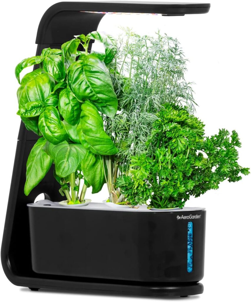 AeroGarden Sprout with Gourmet Herbs Seed Pod Kit - Hydroponic Indoor Garden, Black