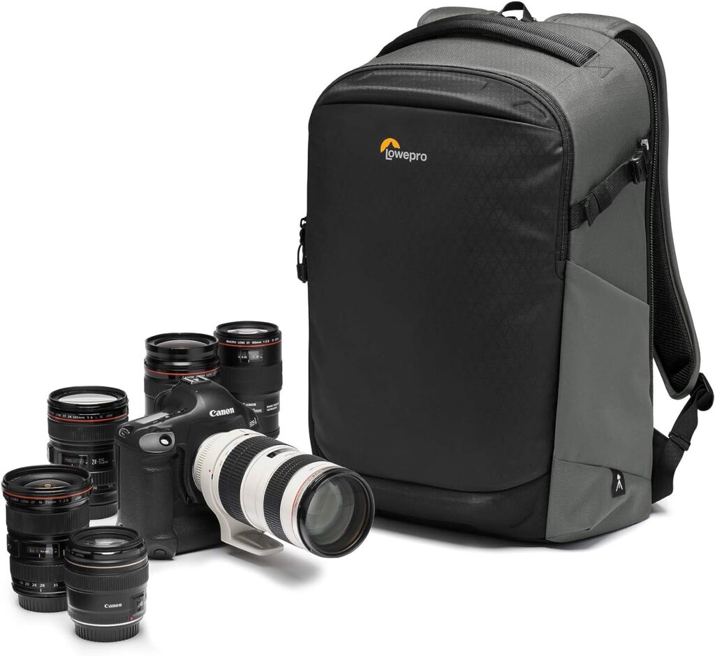 Lowepro Flipside BP 400 AW III Mirrorless and DSLR Camera Backpack - Dark Grey - with Rear Access - with Side Access - with Adjustable Dividers - for Mirrorless Like Sony α7 - LP37353-PWW