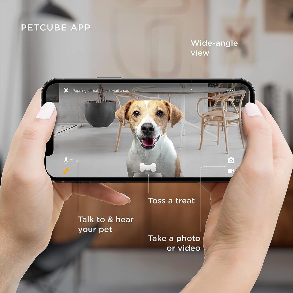 Petcube Cam with Bites 2 Lite Cameras Bundle, Phone App and Treat Dispenser, 1080p HD Video, Night Vision, Two-Way Audio, Sound and Motion Alerts, Cat and Dog Monitor for Entire Home Surveillance